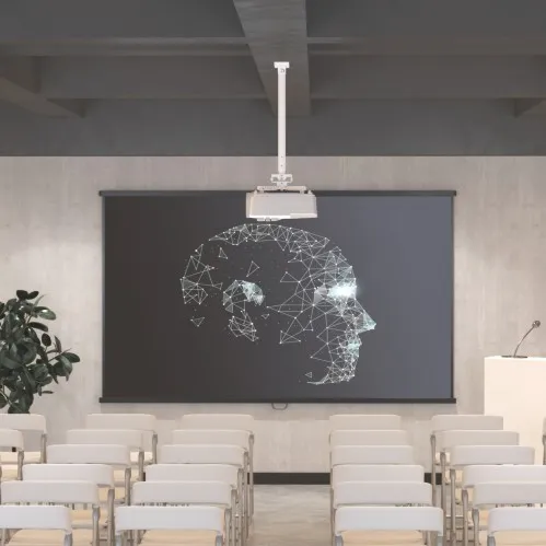 Projector Mounts & Stands