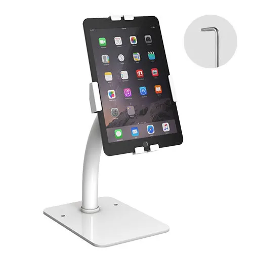 Anti-Theft Tablet Countertop Kiosk