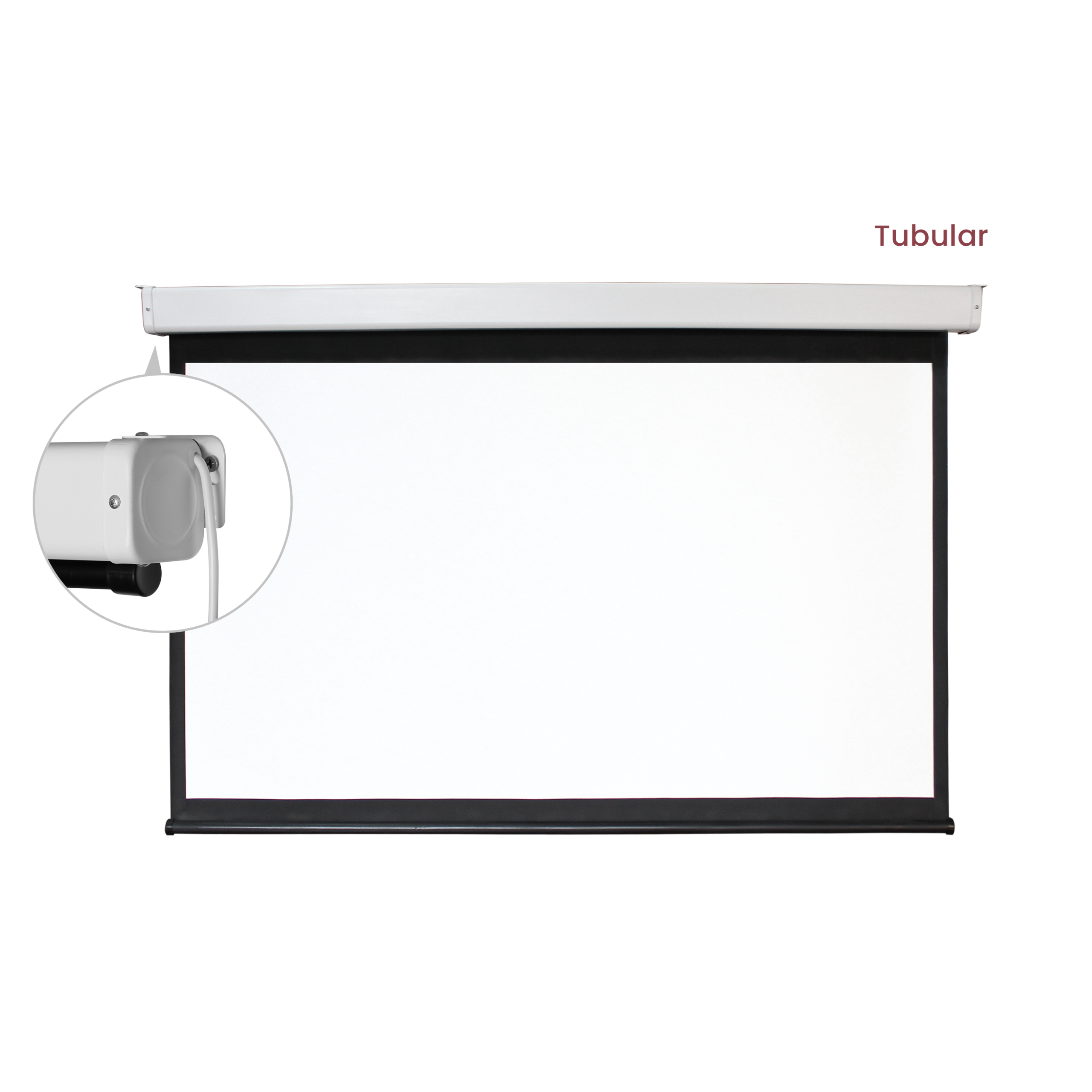 Motorized Projection Screen